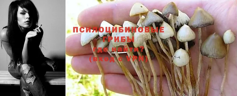 Псилоцибиновые грибы MAGIC MUSHROOMS  Ессентуки 