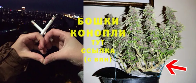 Бошки Шишки индика  Ессентуки 